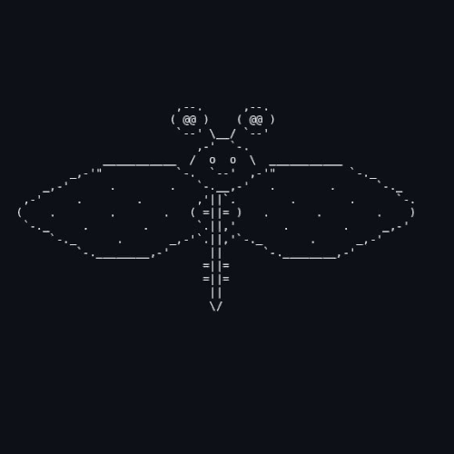 FLY